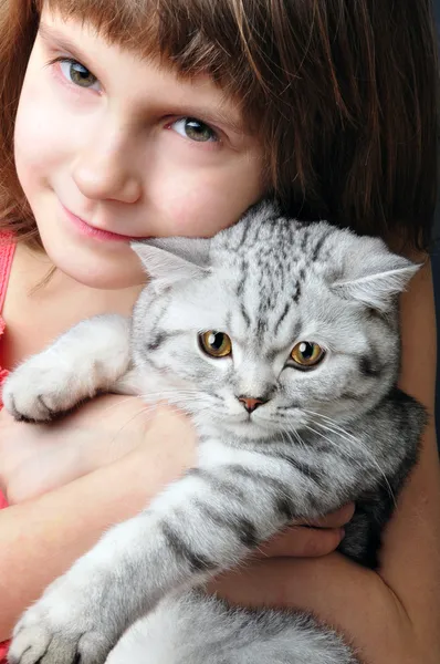 Child hugging silver white cat kitten