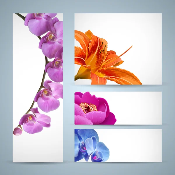 Vector flowers, orchid, lily and peony blossom