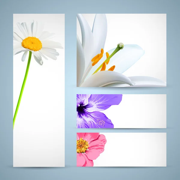 Flower Brochure Template. Background Design
