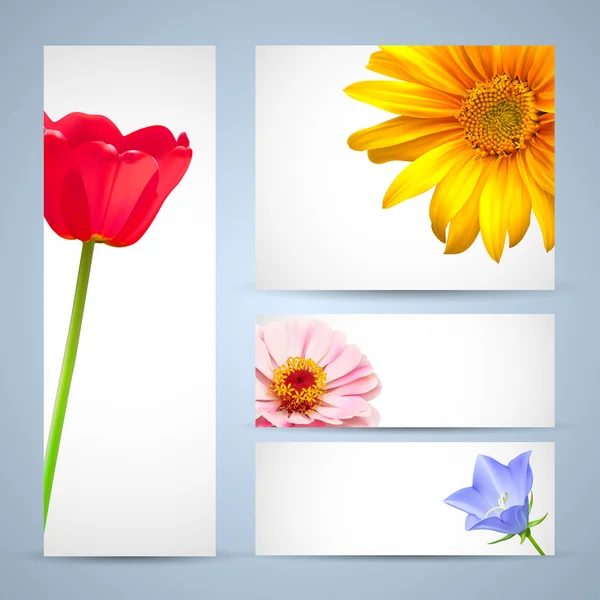 Brochure template design, flower layout backgrounds