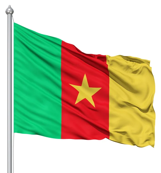 Risultati immagini per la bandiera del camerun