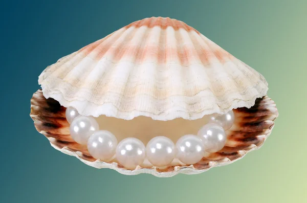 String of pearls in the sea shell