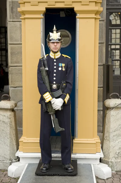 Sweden Royal guards