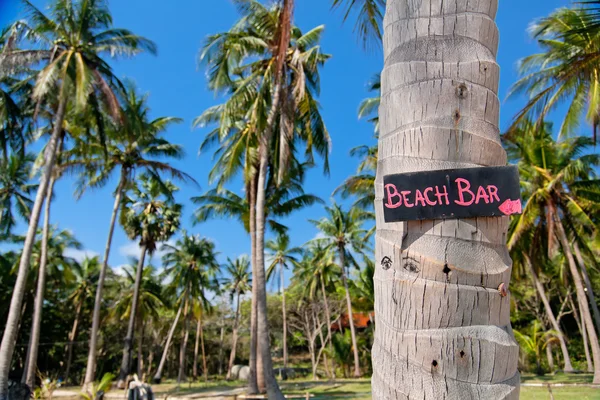 Beach bar sign on palm tree trunk