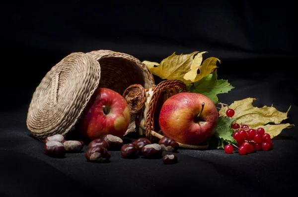 Still life with autumn fruits on black background — Stock Photo #8444669
