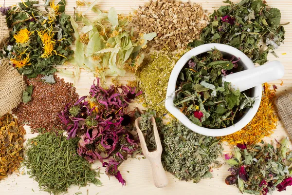 Healing herbs on wooden table, herbal medicine