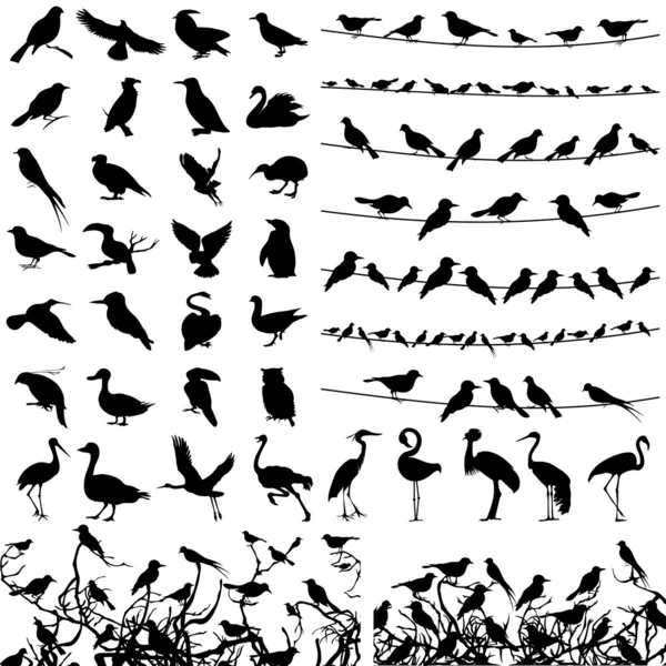 Collection of silhouettes of birds.