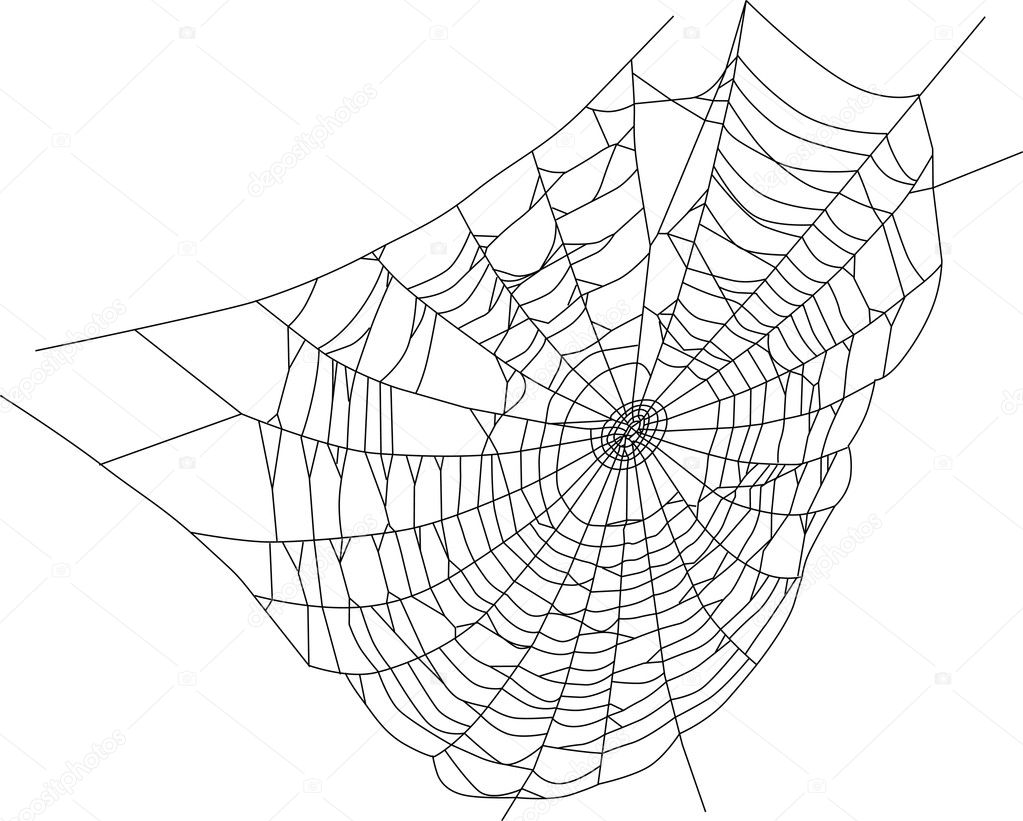 Spider web silhouette illustration — Stock Vector © Dr.PAS #8544671