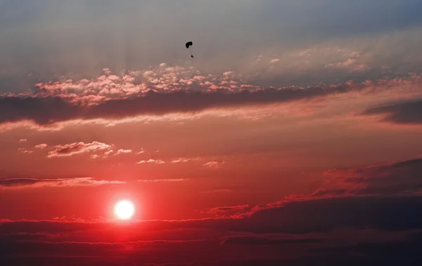Lone paraglider over the red sunset.