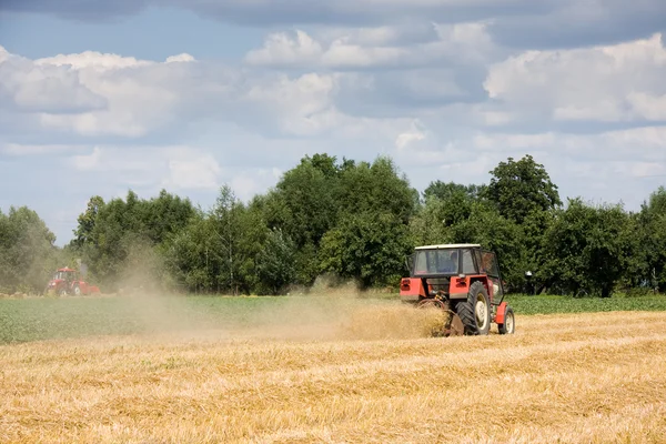 Tractor harvesting wheat field in summer day