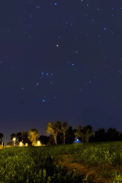 Orion Constellation setting at dusk