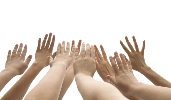 Many female hands
