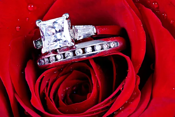 Wedding Ring in Rose, Will you marry me?