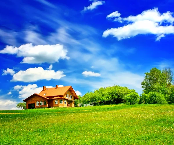 House and green field on blue sky