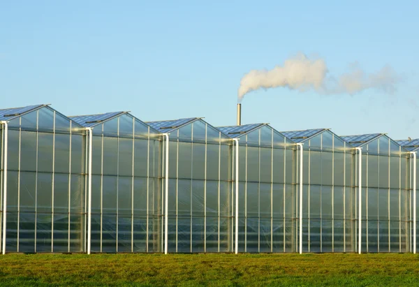 Greenhouse with greenhouse gas