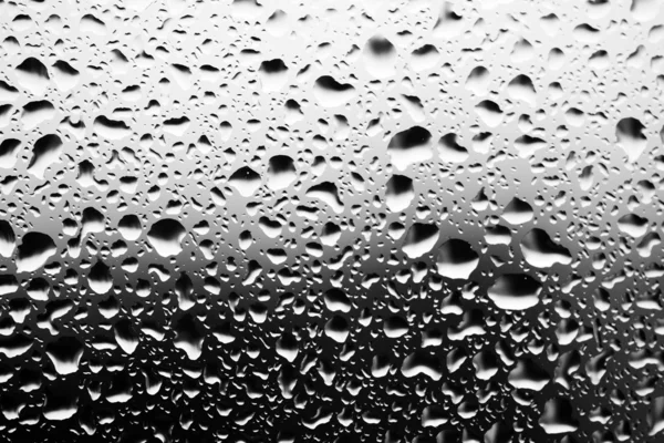 Water droplets closeup, monochrome
