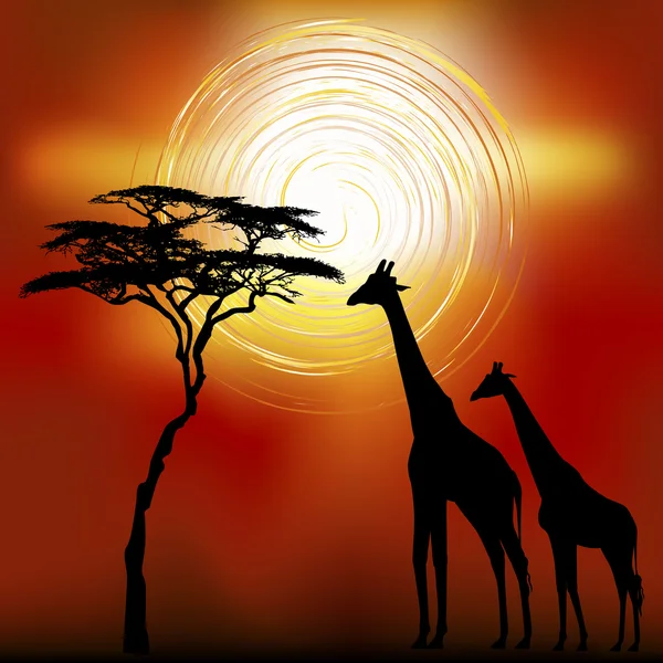 African landscape with giraffes.