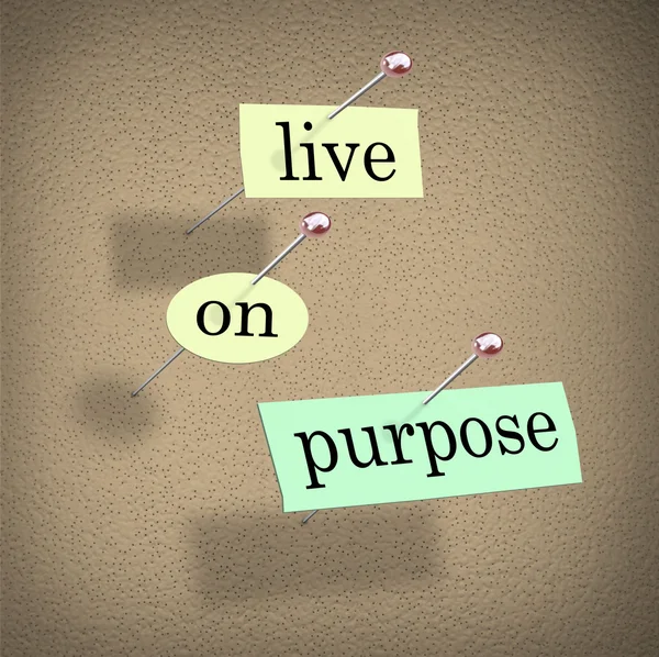 Live on Purpose Words on Bulletin Board Fulfilling Life