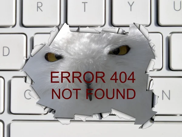 Page not found error message