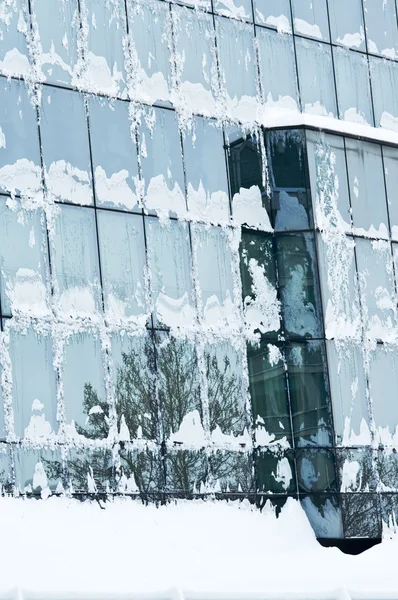 Frozen office windows