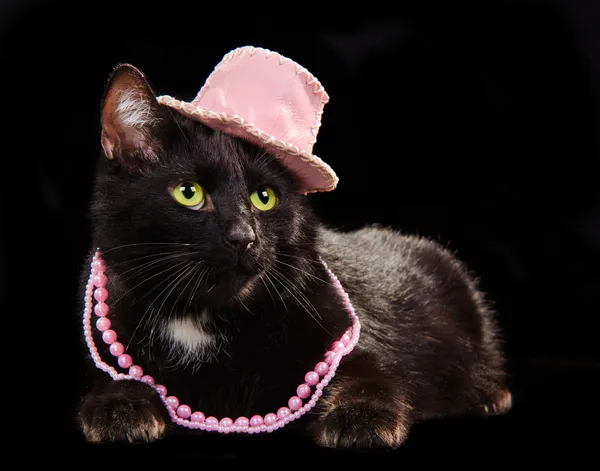 Glamorous black cat wearing pink hat and beads lying against black backgrou