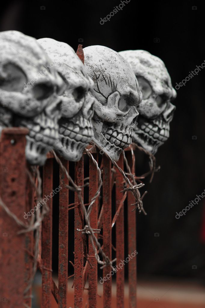 depositphotos_10000721-Skulls-on-a-fence.jpg