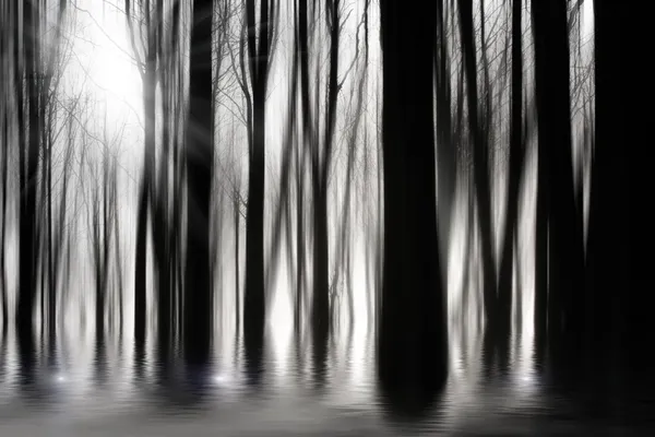 Spooky woods in BW with flooding — Stock Photo #10311942