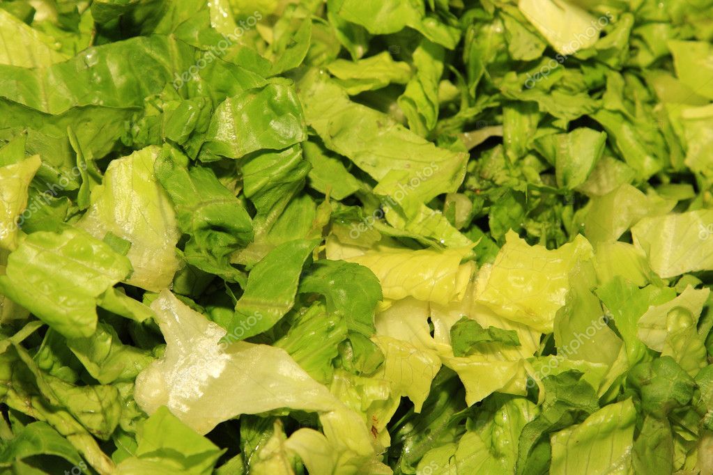 Cut fresh lettuce — Stock Photo © netfalls 9042368