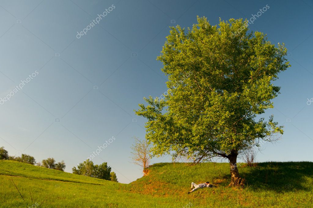 Man sleeping under the tree in the middle of untouched nature on sunny