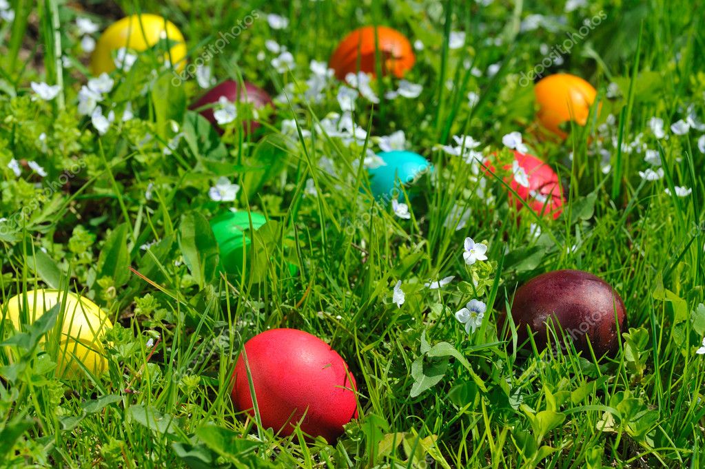 Easter Eggs In Grass — Stock Photo © Natlit 8510117