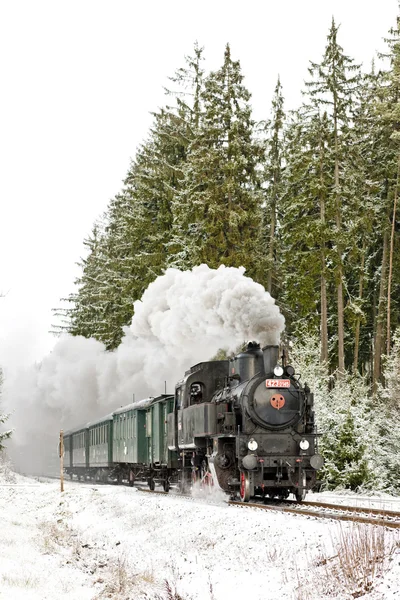 Steam train near Hradsko