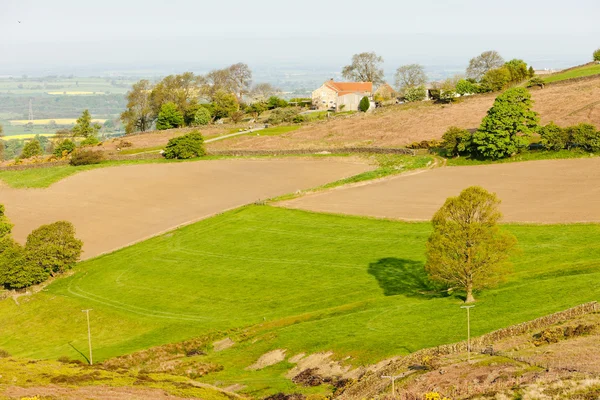 北部约克停泊国家公园,北部约克郡,英格兰 - 图