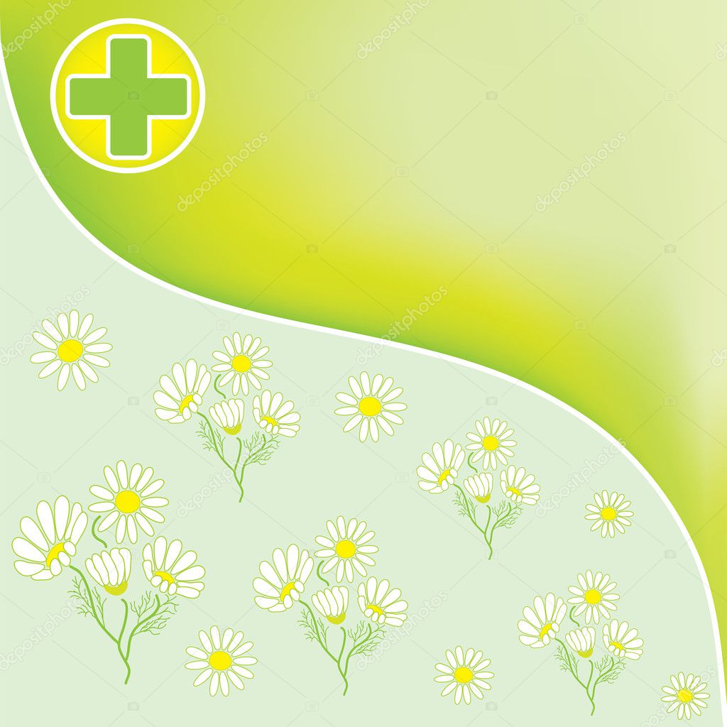 Fondo verde farmacia con Cruz médica y manzanilla oficinal Fondo verde farmacia con Cruz médica y manzanilla oficinal