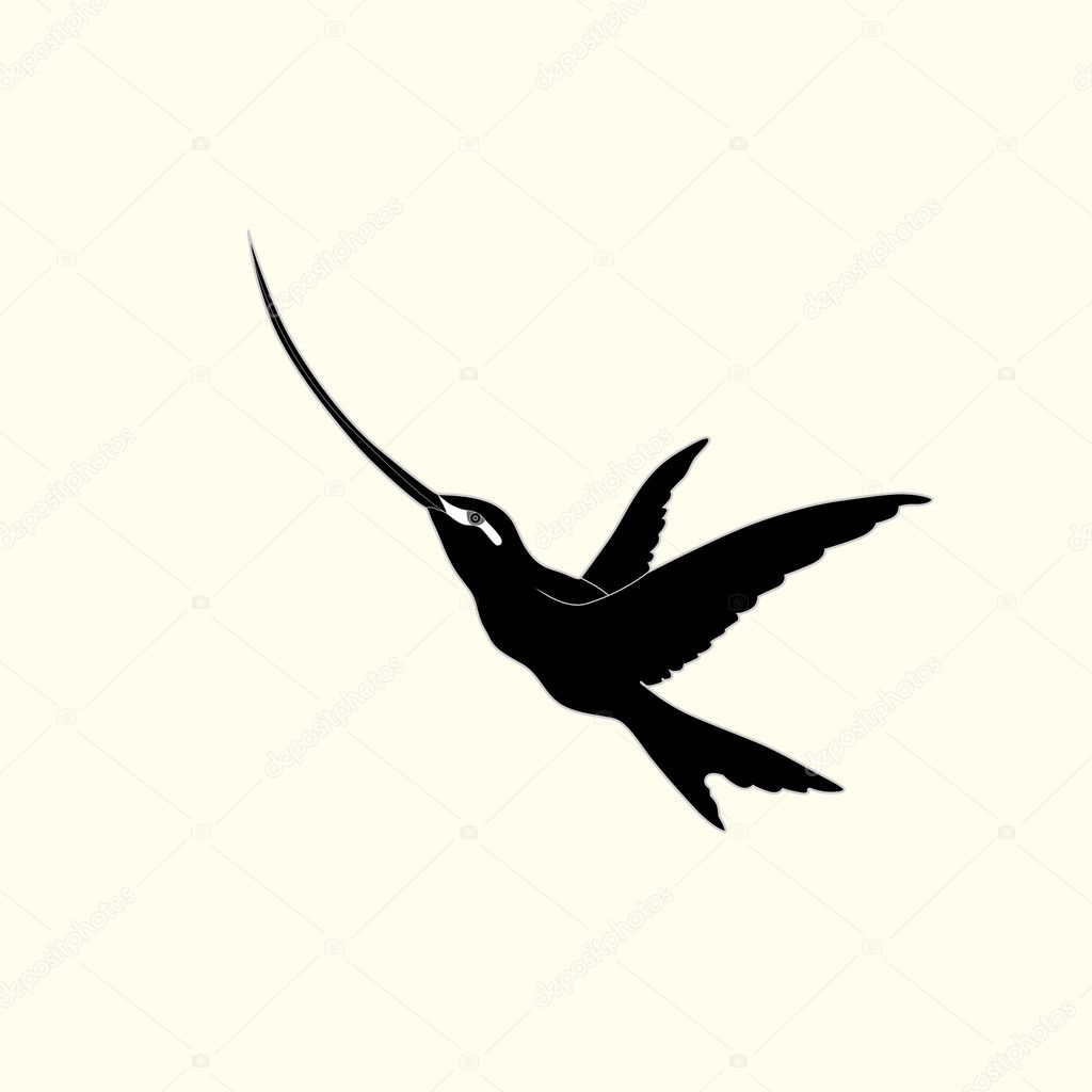 Hummingbird Hummingbird