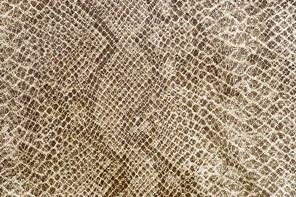 3d abstract Seamless snake skin, reptile scale - Stock Image - Everypixel
