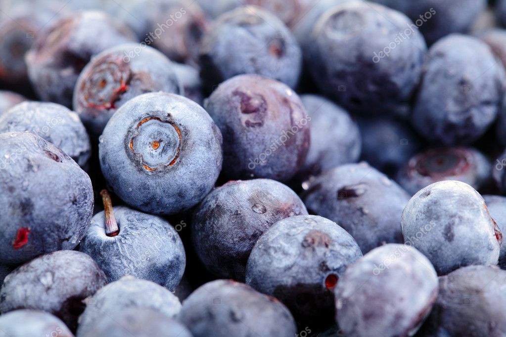 noegne piger billeder blueberry №26510 noegne piger billeder blueberry № 26509