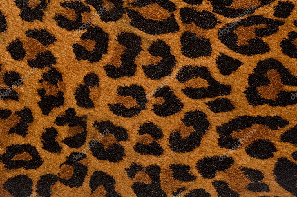 Cheetah print pattern drawing images & pictures - becuo.