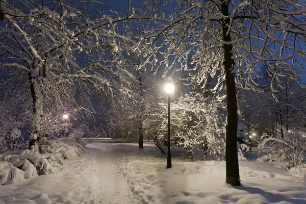 Park covered with snow at night.