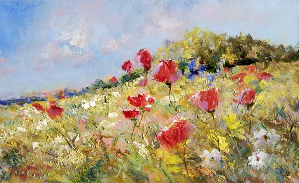 Painted poppies on summer meadow