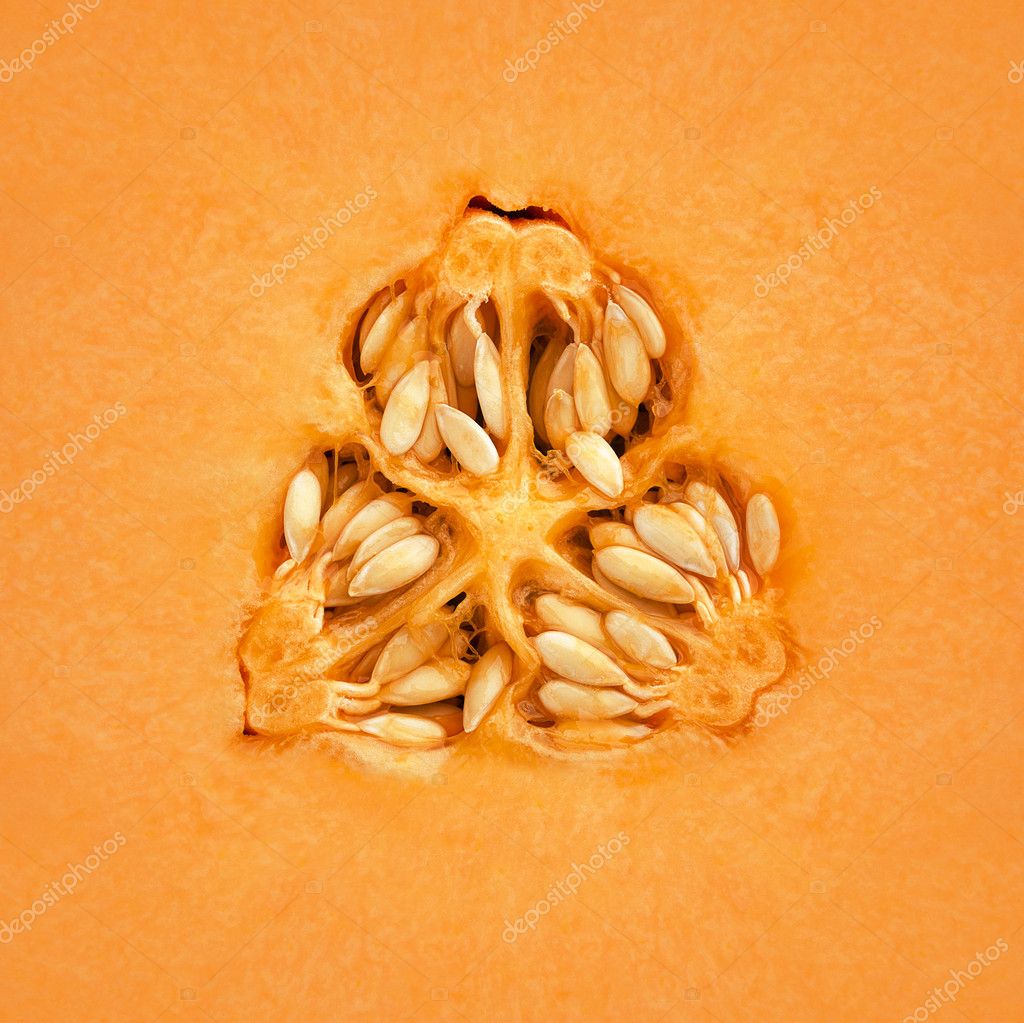 Cantaloupe Melon Inside — Stock Photo © JohanSwanepoel 10554047