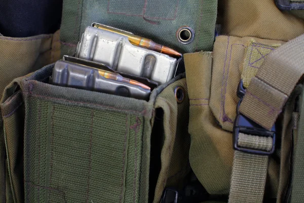 Tactical vest with magazine