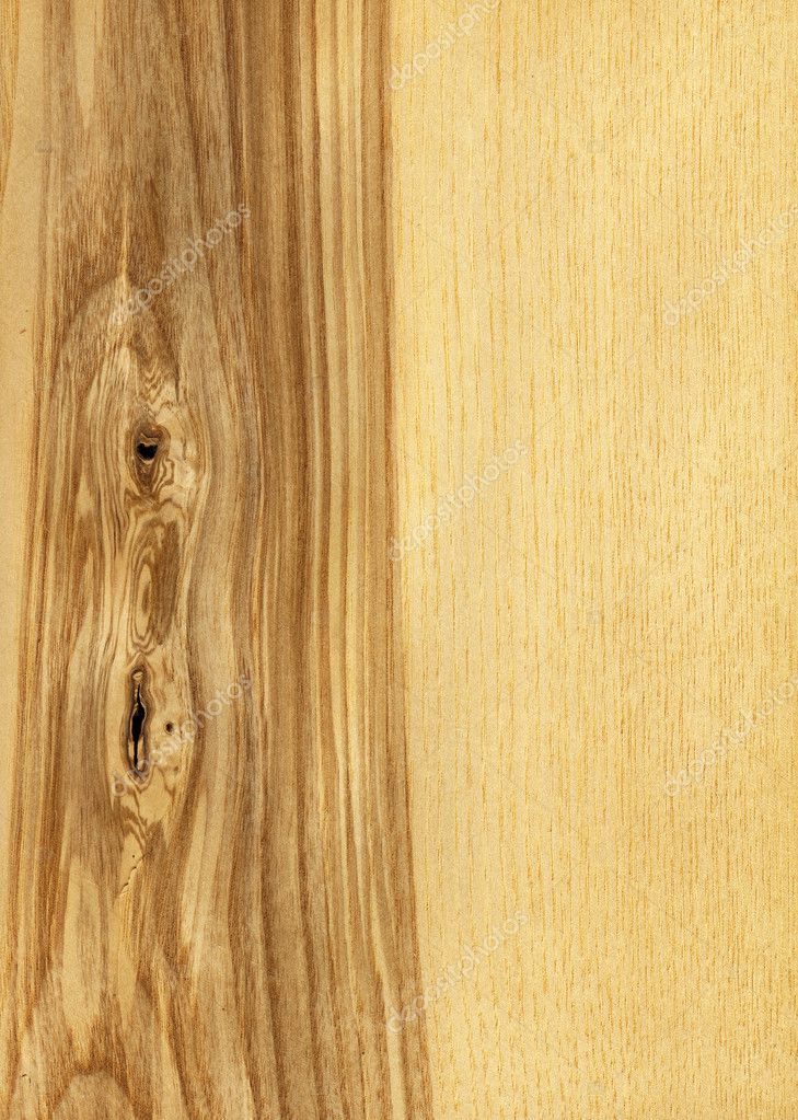 Ash Wood Texture