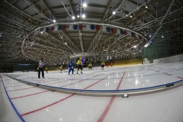 Bandy match in Ice sports palace Krylatskoye