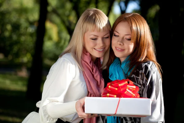 Two beautiful sisters with gift in the park