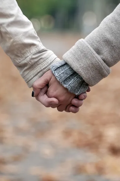Closeup of couple holding hands while walking in park
