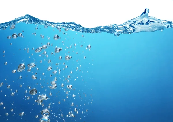 Air bubbles rise from the bottom of the ocean to the surface.