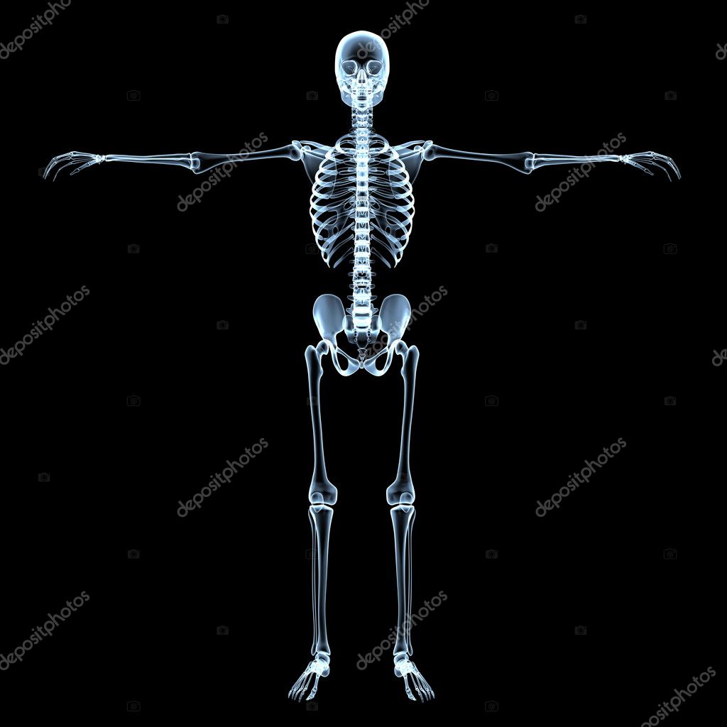 Skeleton Black Background