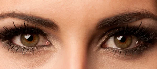 Woman brown eye with pastel color makeup and long eyelashes