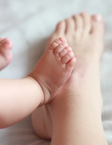 Beautiful small baby foot lying on adult foot on mother