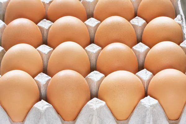 Ten Brown Eggs In A Carton Package Stock Photo By Usersam2007 11437181